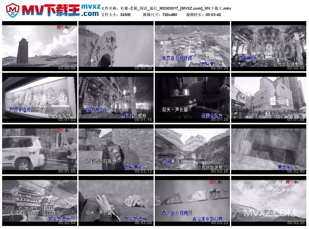 杜歌-老狼_国语_流行_MD303017